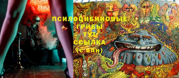 спиды Алзамай