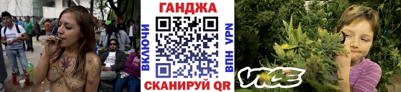 МАРИХУАНА тримм  это телеграм  Болгар  как найти  